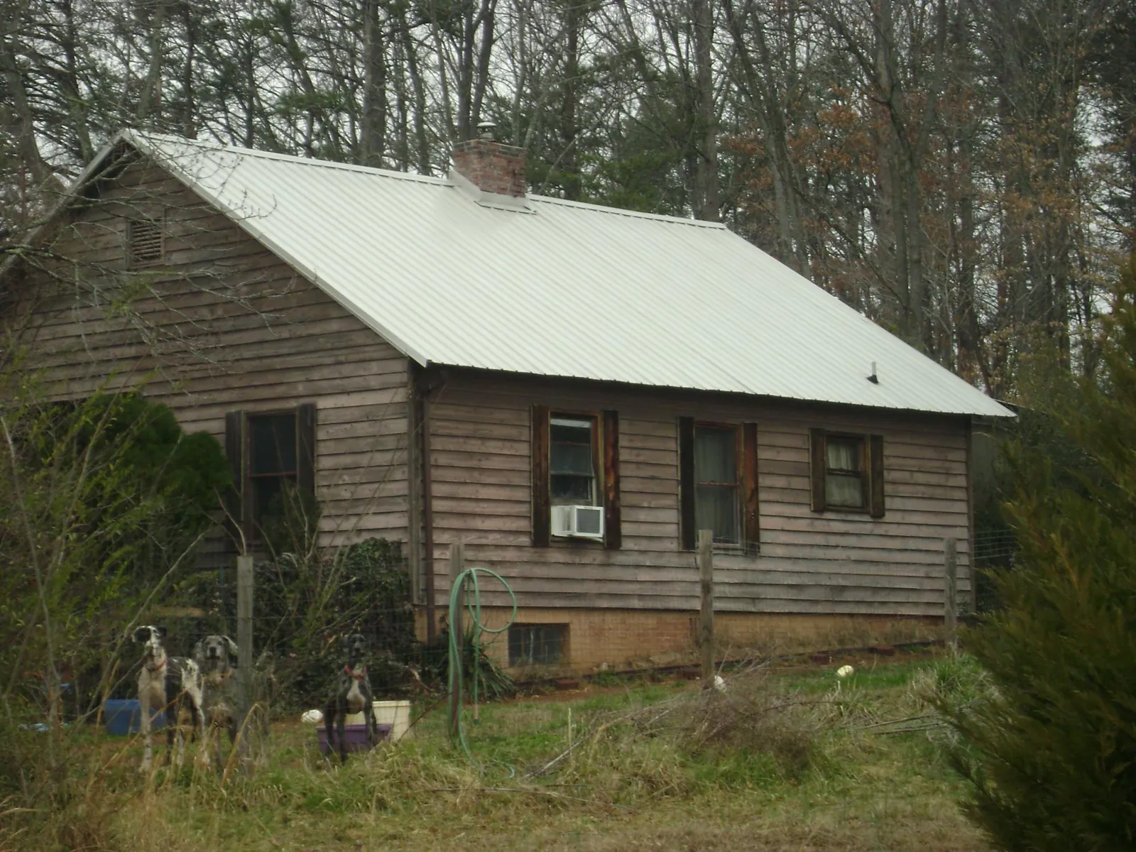 White metal roof on an old wood sided farmhouse, from a Asphalt Shingle Roof Repair job in Loa